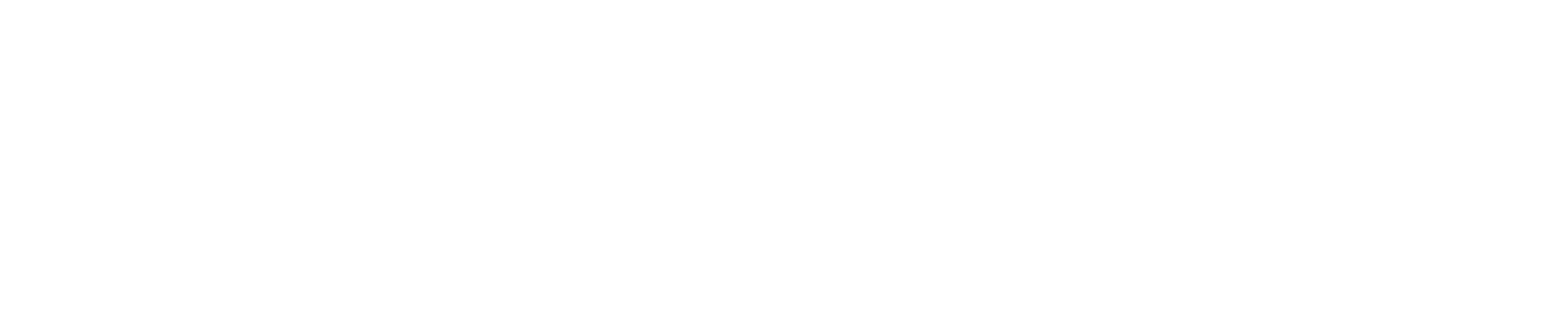 Rangitata Hunting